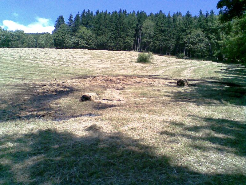Obraz003.jpg