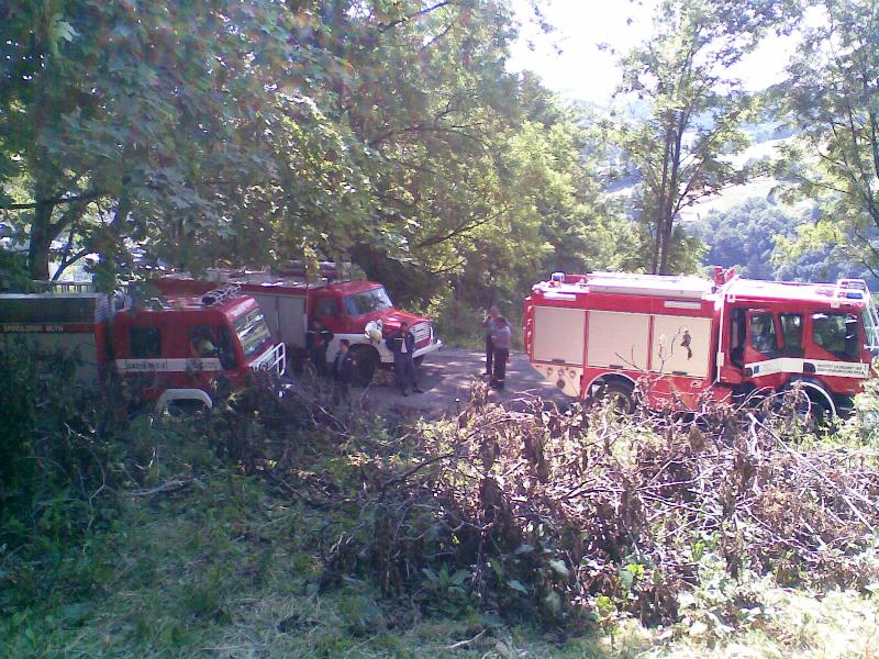 Obraz006.jpg