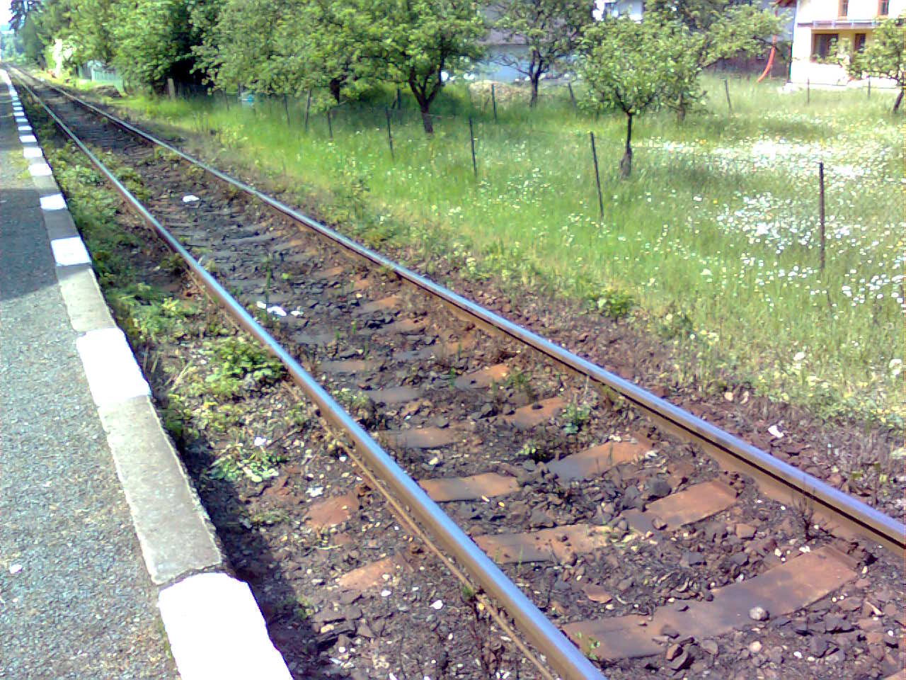Obraz0014.jpg
